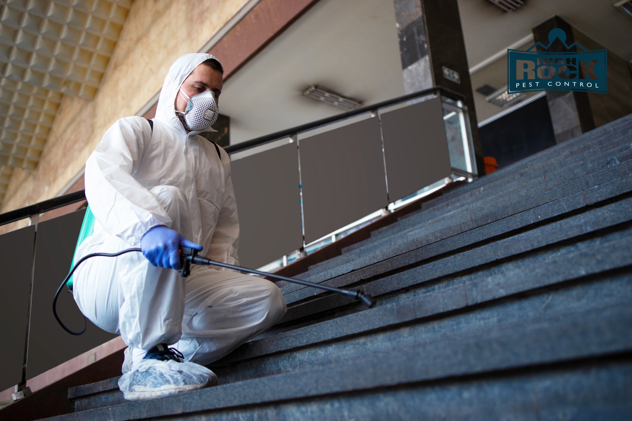 The Health Risks of Pests and How Cleveland Exterminators Help